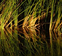 07lake1080090w