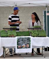 13market-microgreen1110927w