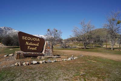 14sign-SequoiaNatForest05650w